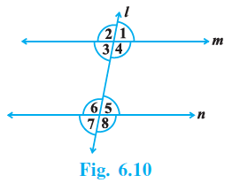 Page 58 Chapter 6 Class 9th NCERT Exemplar